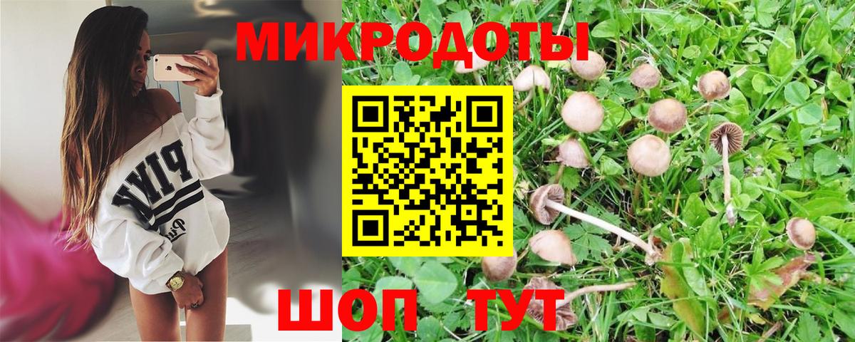 Псилоцибиновые грибы мухоморы Омск