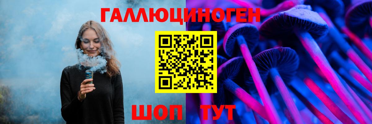Омск  Псилоцибиновые грибы Psilocybe  Вход с VPN 